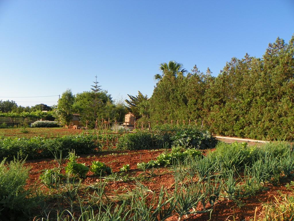 Agroturisme Can Bessol S'Horta Exteriör bild