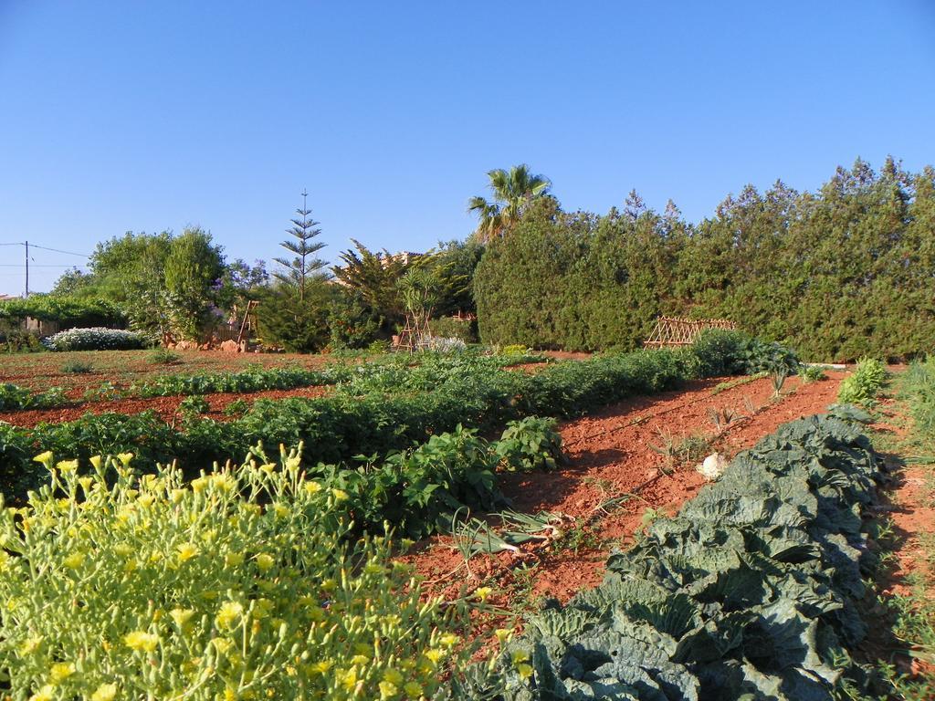 Agroturisme Can Bessol S'Horta Exteriör bild